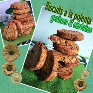 Biscuit à la polenta graines & céréales(scrap)