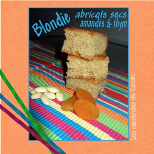 blondie abricots secs