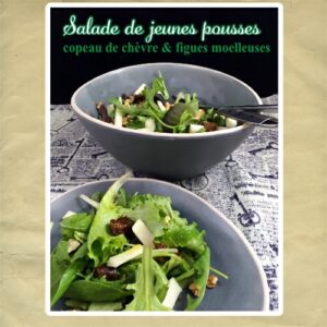 salade de jeunes pousses chsèvre figues moelleuse